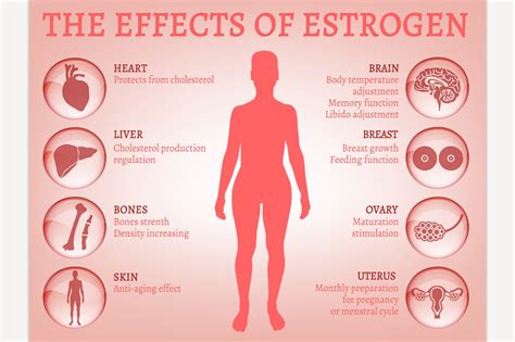 They are often touted as being "safe and all natural" and "derived. . What happens if you take too much estrogen mtf